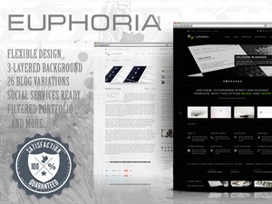 euphoria-premium-theme-theme-wordpress-portfolio-cbe6-o.jpg