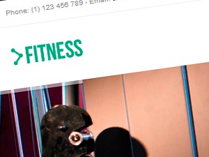 fitness-gym-wordpress-theme-z36-o.jpg