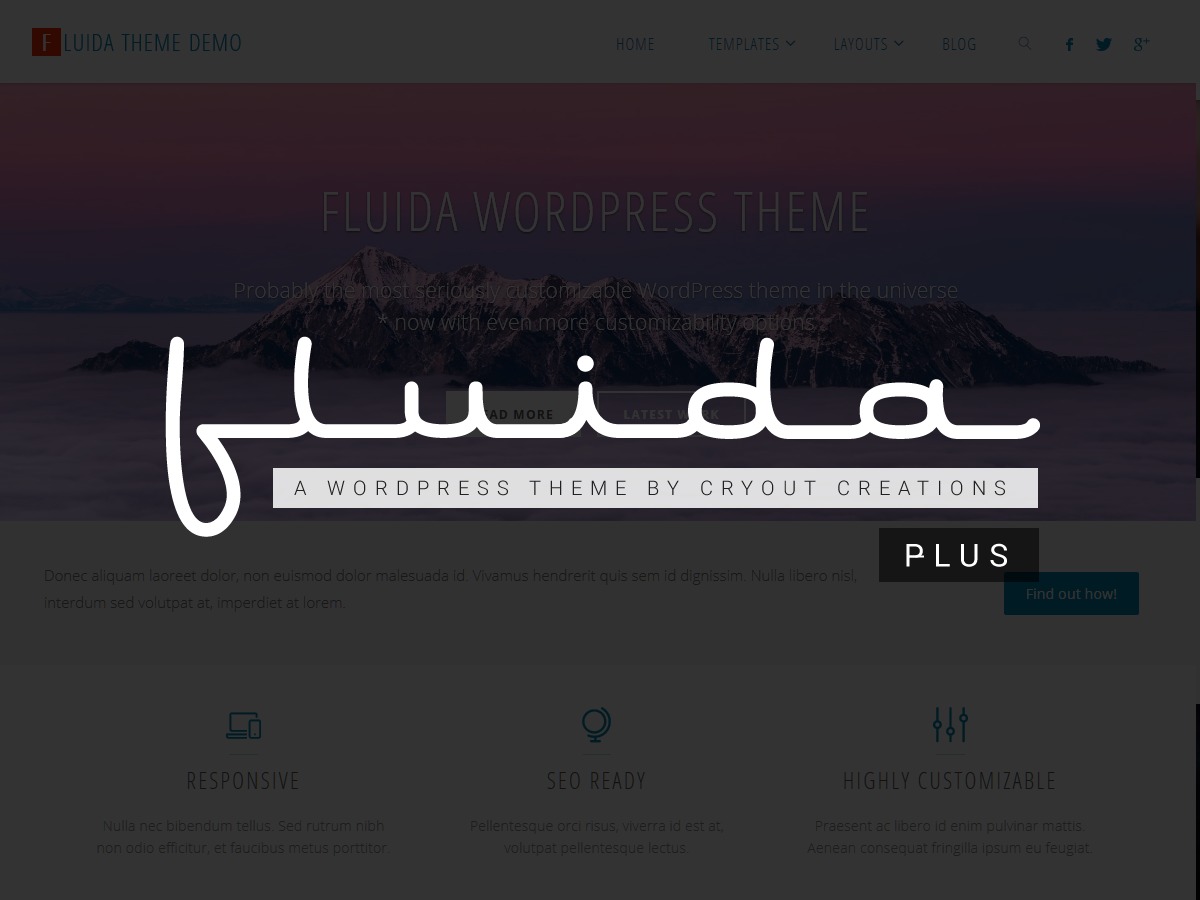 fluida-plus-wordpress-gallery-theme-esvow-o.jpg