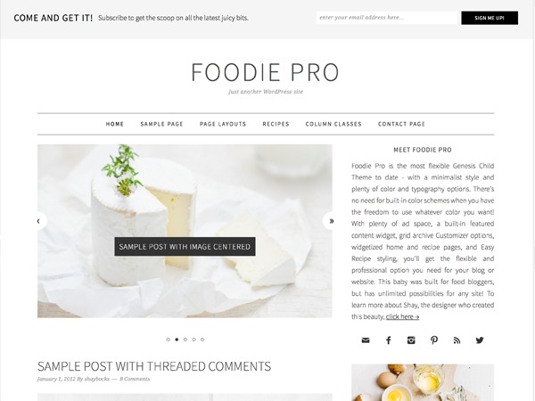 foodie-pro-theme-food-wordpress-theme-gjm-o.jpg