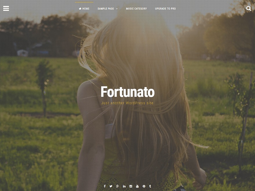 fortunato-wordpress-store-theme-5m6-o.jpg