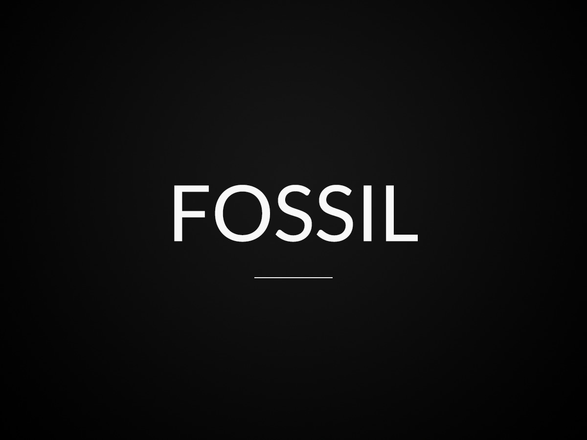 fossil-best-portfolio-wordpress-theme-b3koe-o.jpg