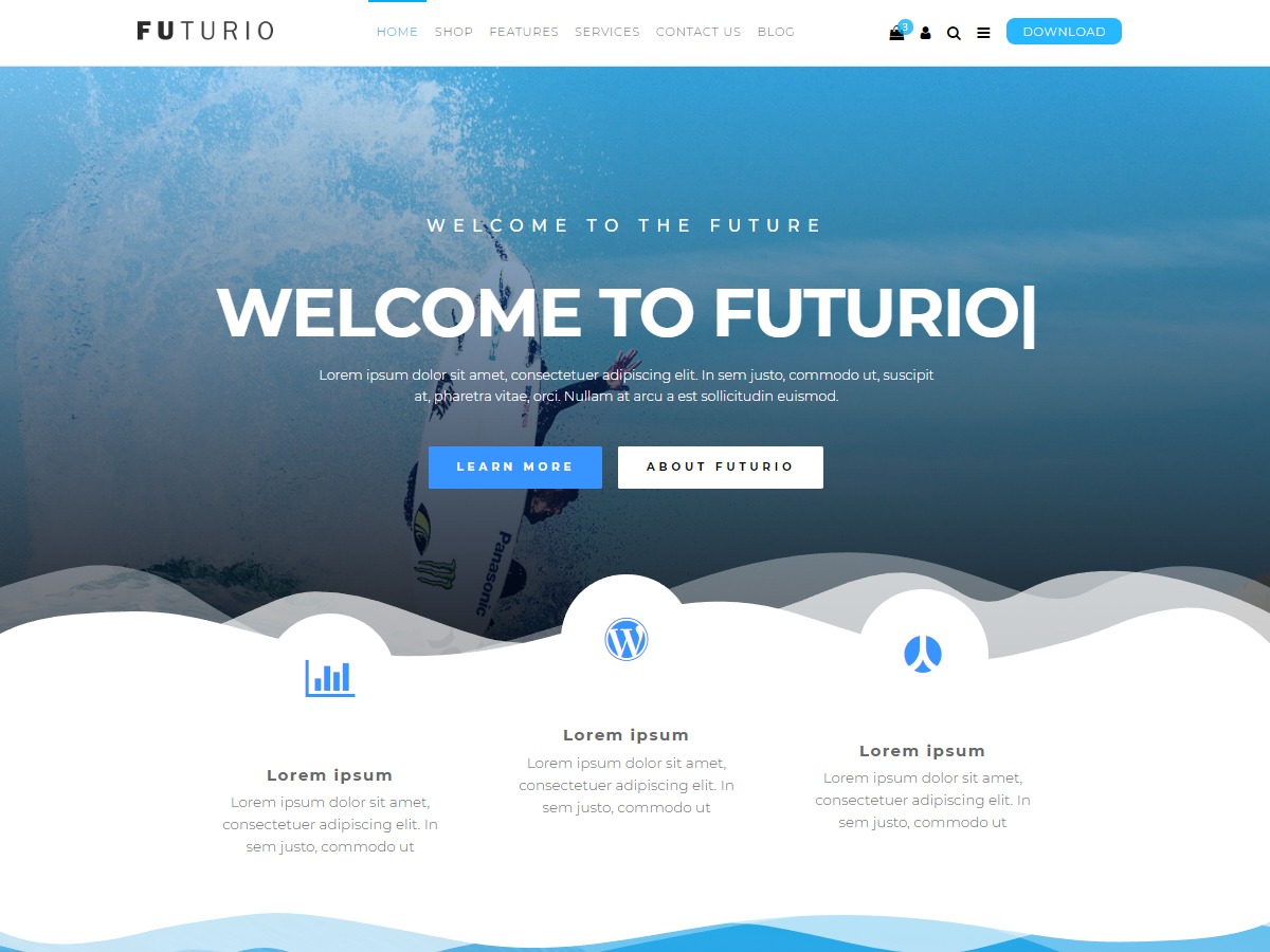 futurio-wordpress-store-theme-j6sz8-o.jpg