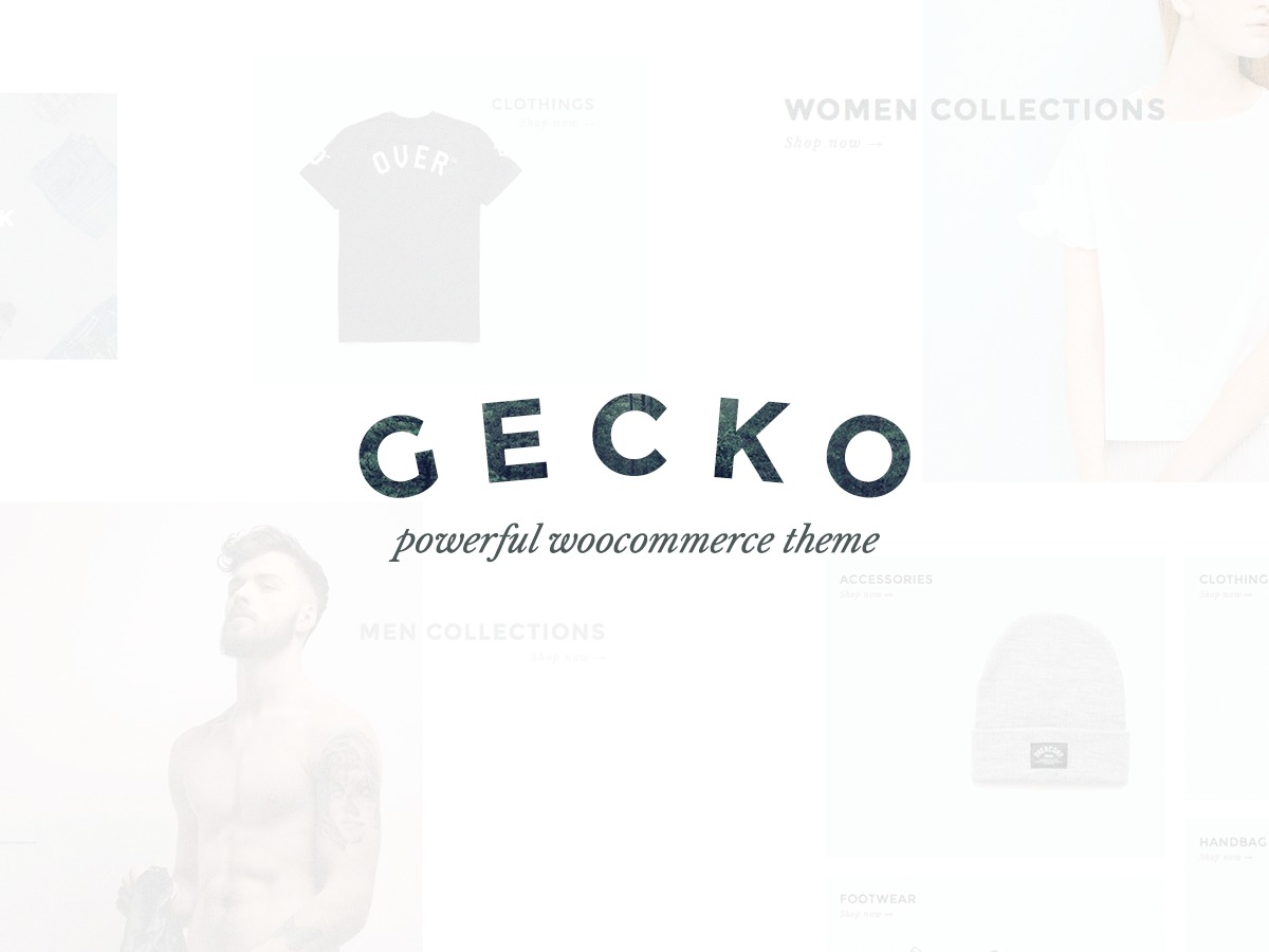 gecko-wordpress-portfolio-template-b6k1-o.jpg