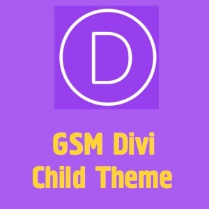 gsm-divi-child-theme-template-wordpress-1cyo-o.jpg