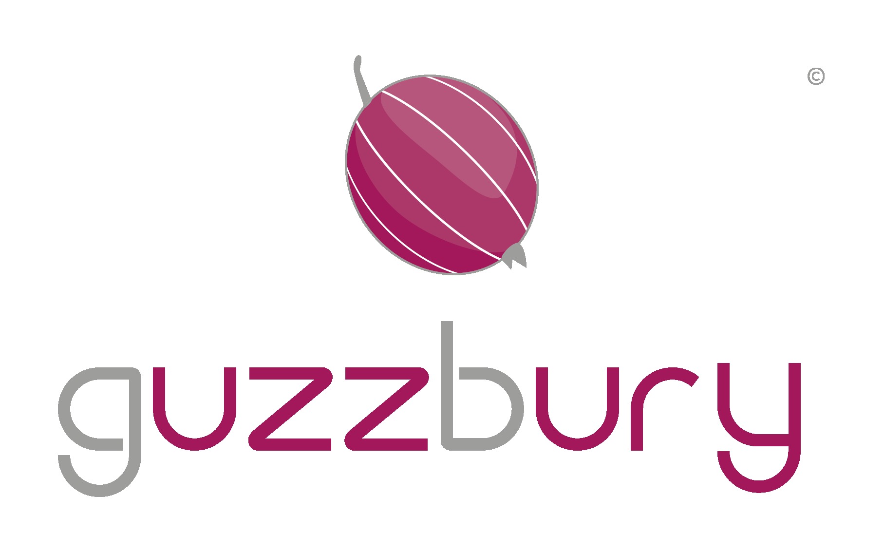 guzzbury-wordpress-theme-jik6w-o.jpg