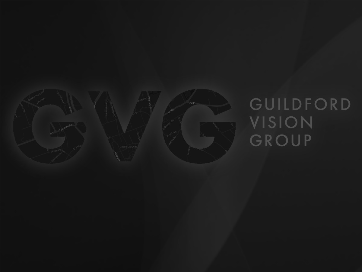 gvg-theme-wordpress-gcori-o.jpg