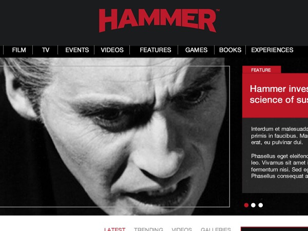 hammer-films-top-wordpress-theme-g5in6-o.jpg
