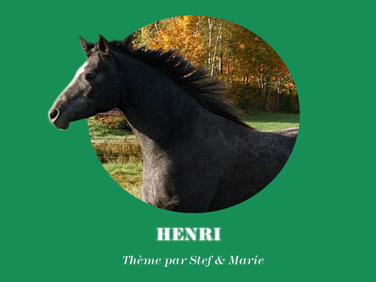 henri-theme-wordpress-theme-design-oihst-o.jpg