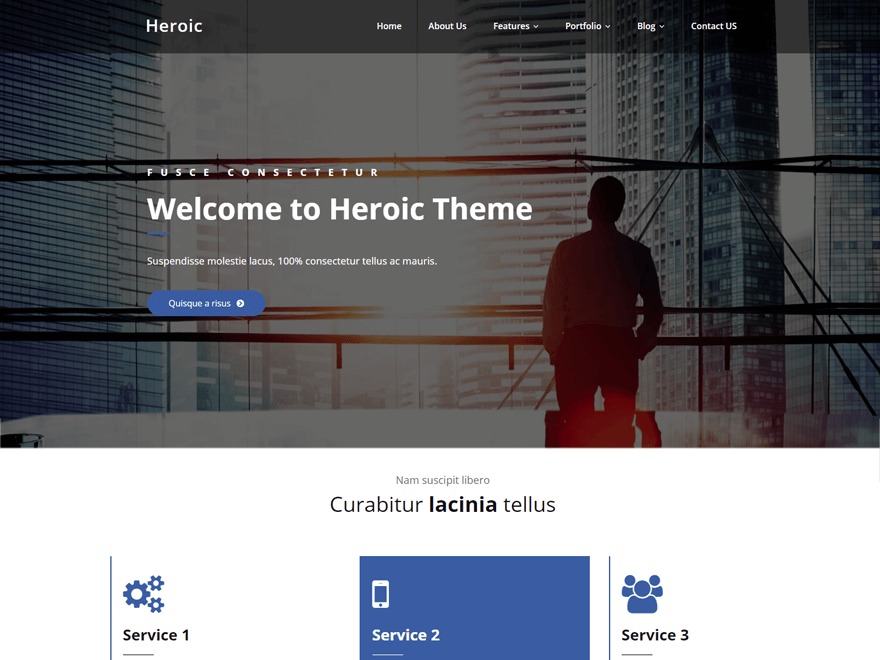 heroic-wordpress-portfolio-theme-i1ep-o.jpg