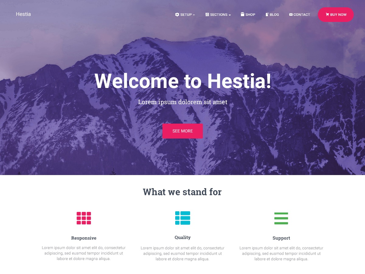 hestia-pro-wordpress-shop-theme-dju2-o.jpg