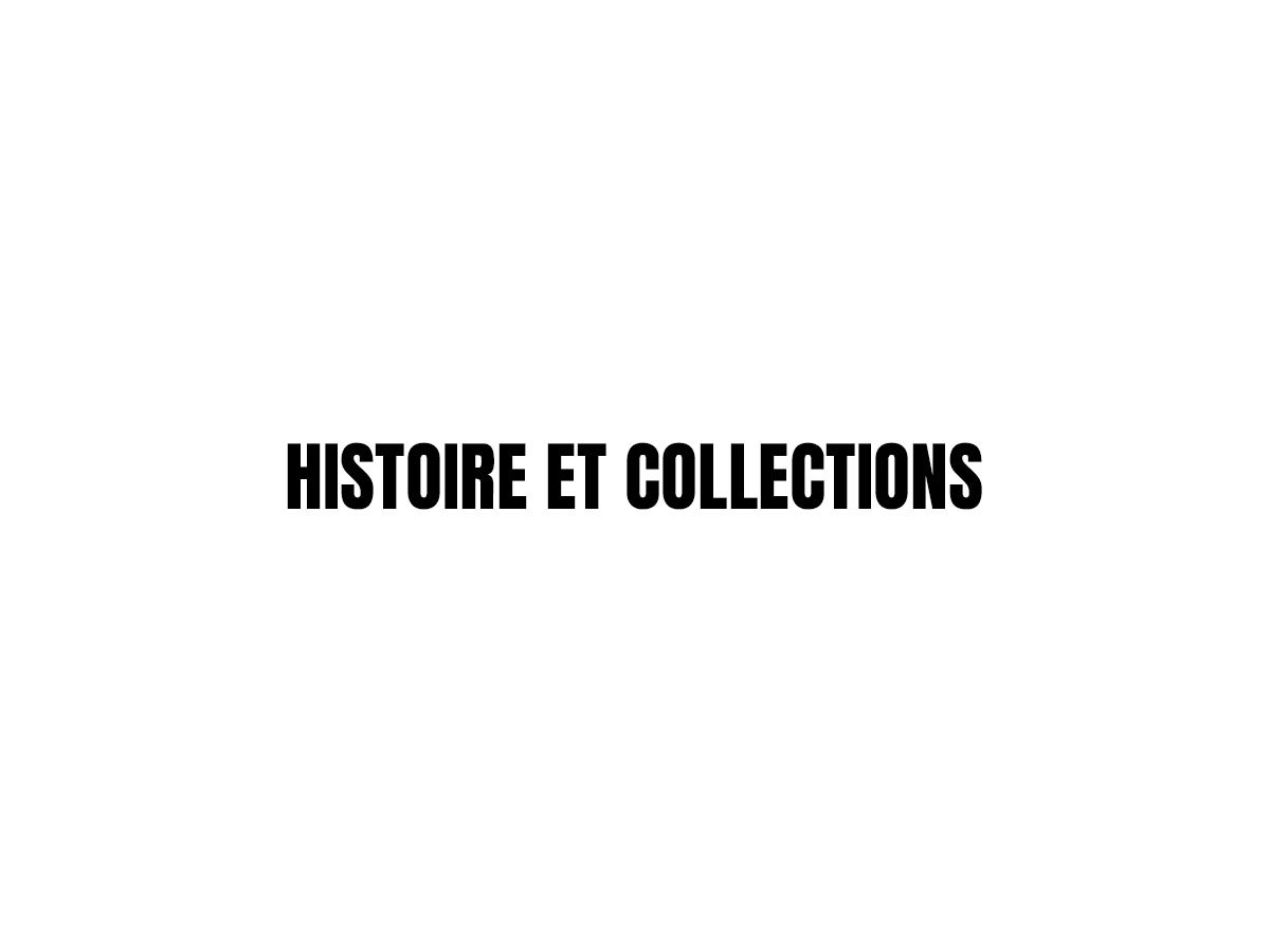 histoire-et-collections-child-wordpress-website-template-qcr9j-o.jpg
