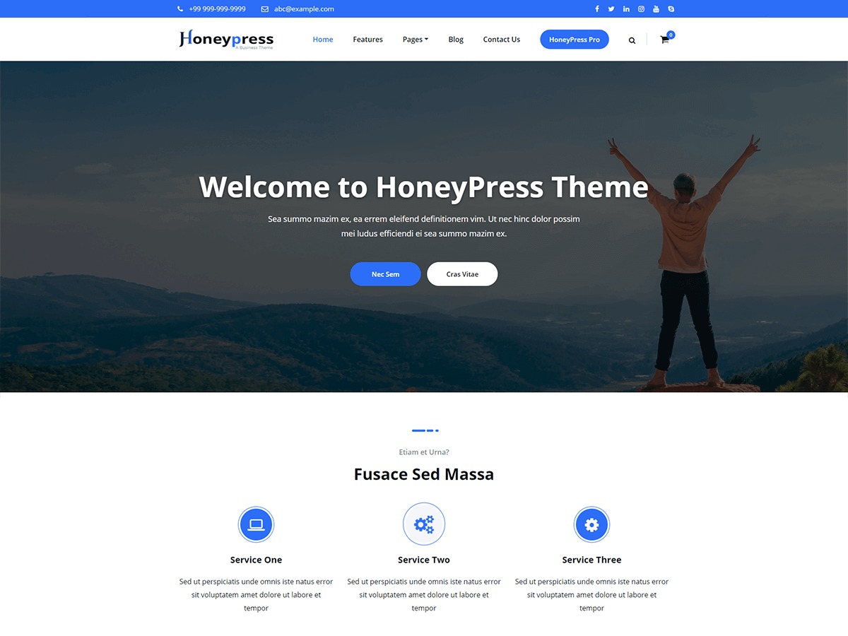 honeypress-wordpress-ecommerce-theme-nyma4-o.jpg
