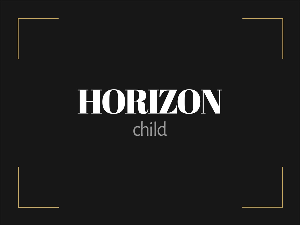 horizon-child-wordpress-portfolio-template-bb1rd-o.jpg