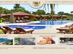 hotel-odile-best-hotel-wordpress-theme-cph6v-o.jpg