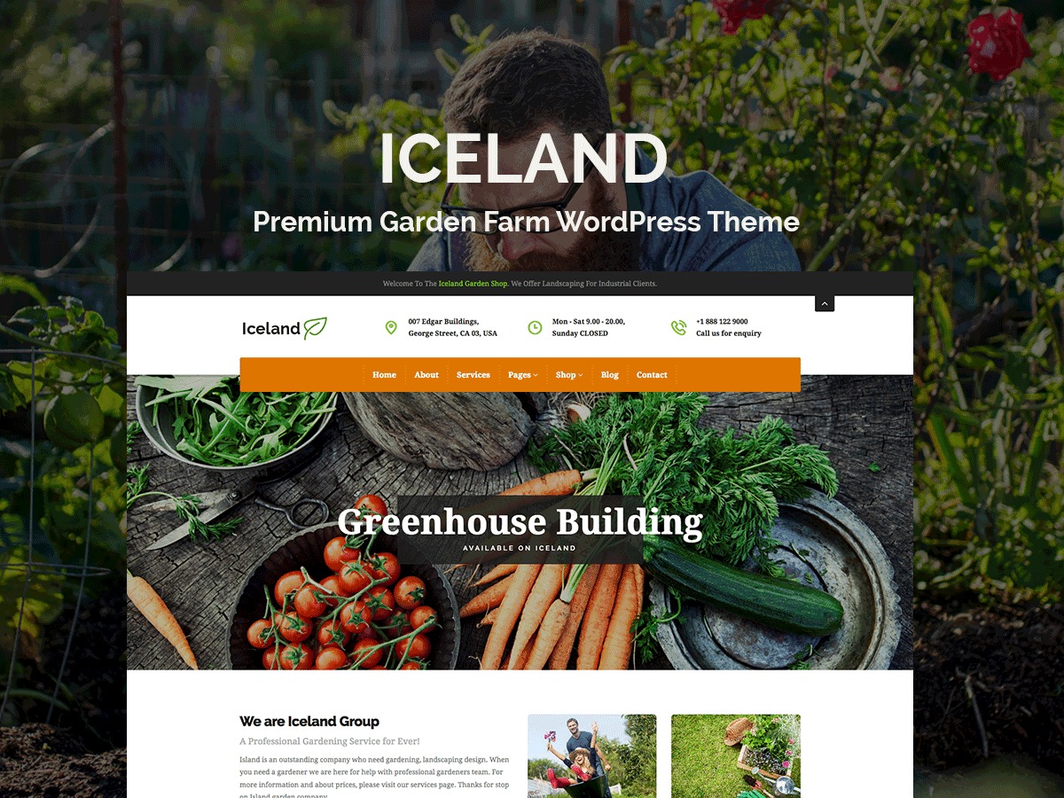 iceland-wordpress-blog-template-cueyc-o.jpg