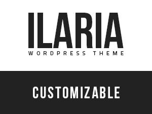 ilaria-wordpress-theme-wordpress-gallery-theme-bdqrs-o.jpg