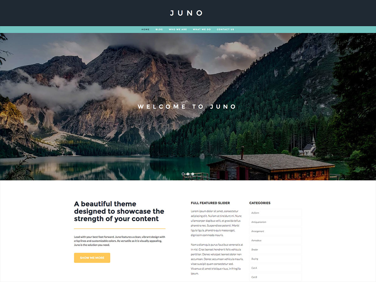 juno-best-free-wordpress-theme-ctjz-o.jpg