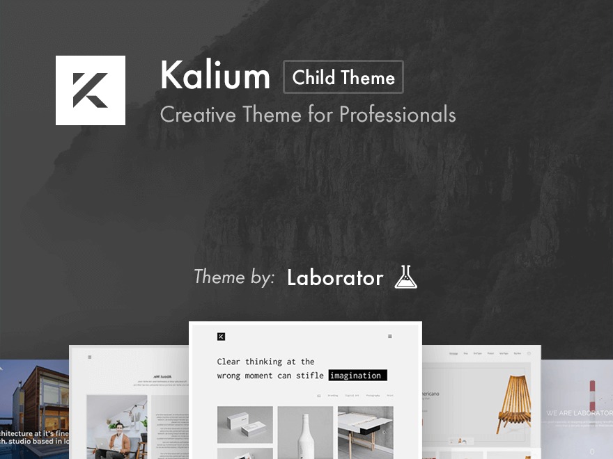 kalium-child-theme-theme-wordpress-d6t-o.jpg