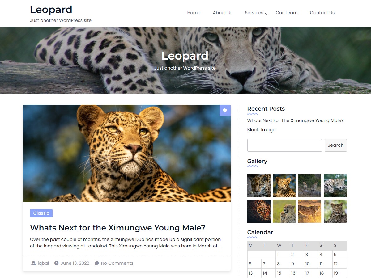 leopard-theme-wordpress-n7u42-o.jpg