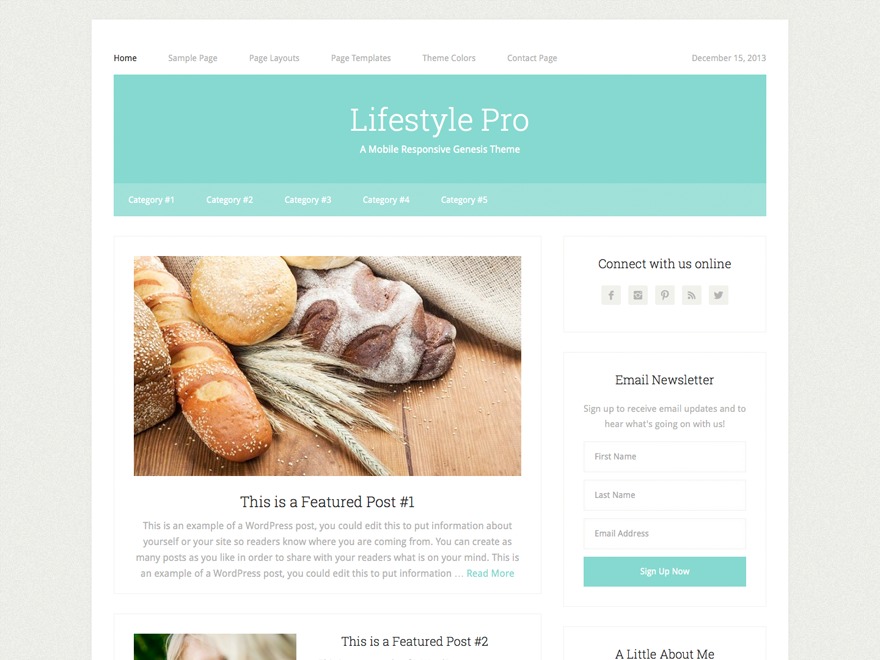 lifestyle-pro-theme-wordpress-theme-cmg-o.jpg