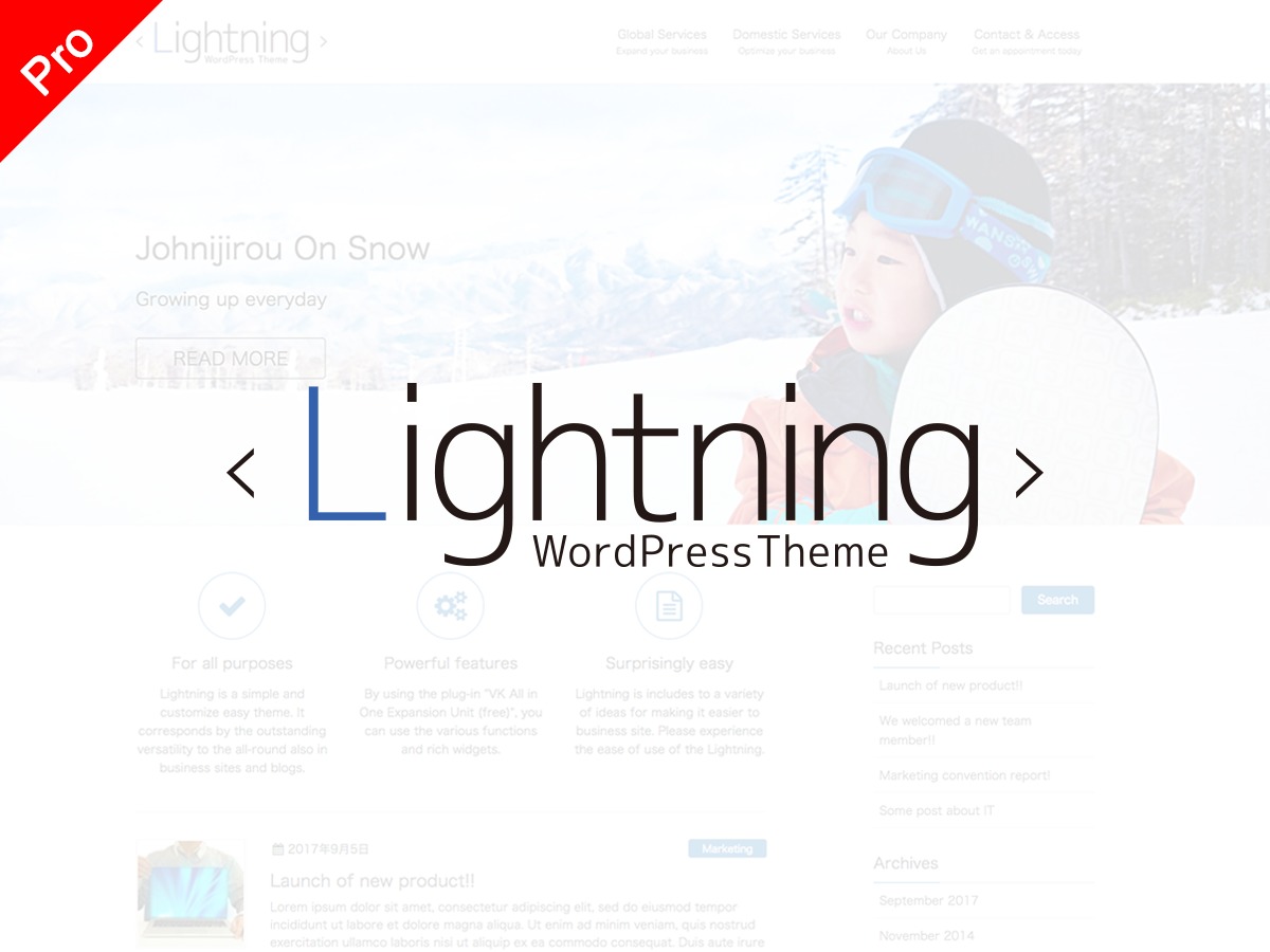 lightning-pro-theme-wordpress-jbbqn-o.jpg