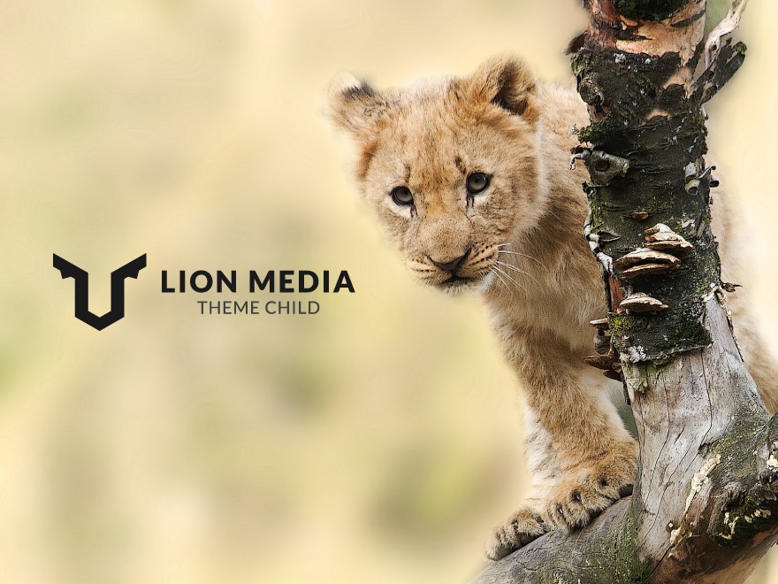 lion-media-child-wordpress-theme-design-ffzd-o.jpg