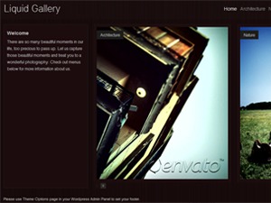 liquid-gallery-photography-wordpress-theme-331m-o.jpg