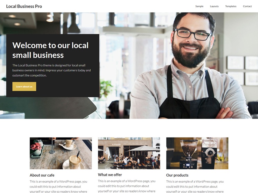 local-business-pro-theme-wordpress-template-for-business-eqhq4-o.jpg