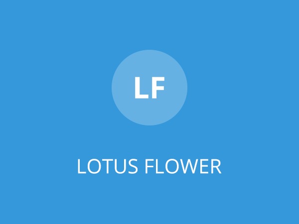 lotus-flower-child-best-woocommerce-theme-cb4gp-o.jpg