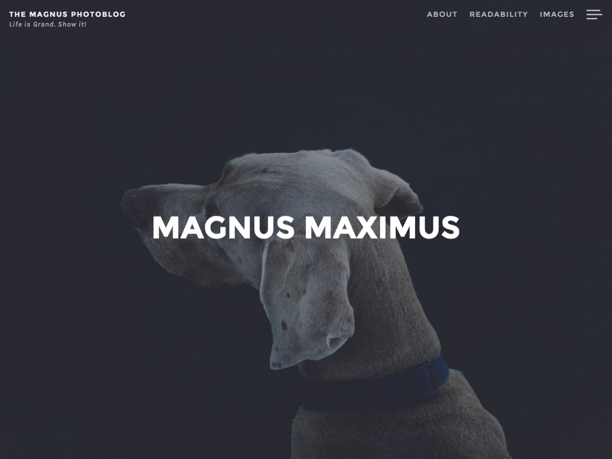 magnus-template-wordpress-free-c3x-o.jpg