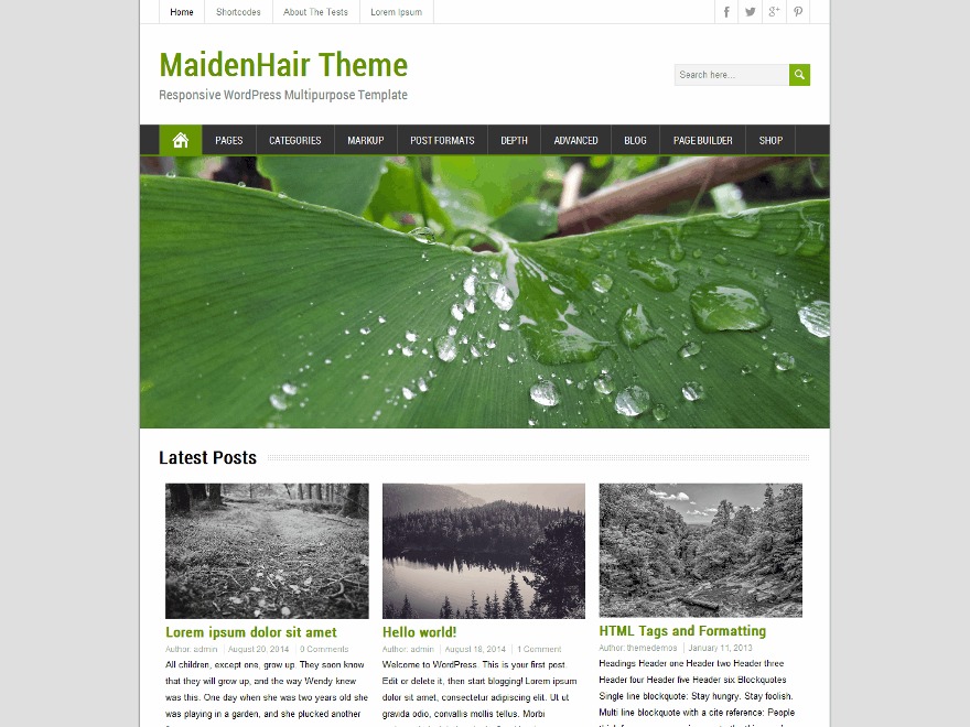 maidenhair-theme-wordpress-free-m89-o.jpg