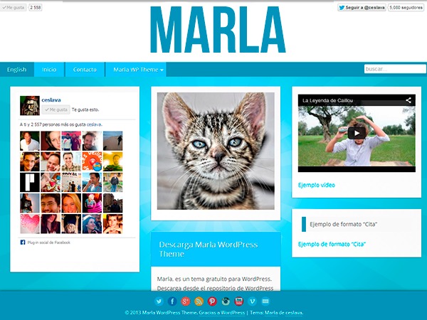 marla-theme-wordpress-website-template-nyyu-o.jpg