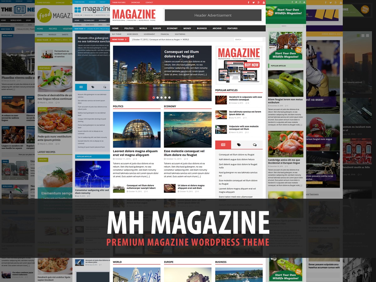 mh-magazine-ambientebrasil-newspaper-wordpress-theme-kxip7-o.jpg