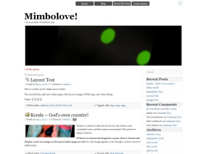 mimbolove-wordpress-theme-image-h7c9-o.jpg