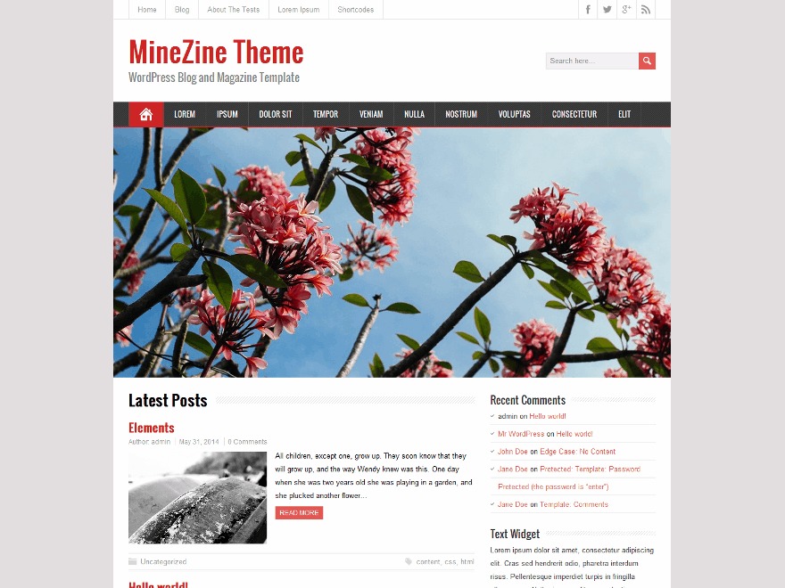 minezine-free-wordpress-theme-rtz-o.jpg