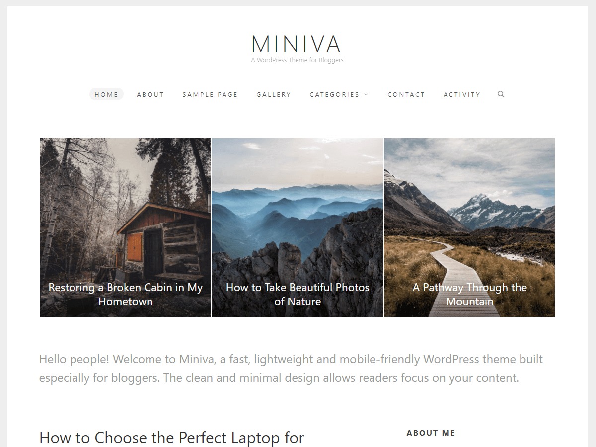 miniva-wordpress-blog-template-gtmbx-o.jpg