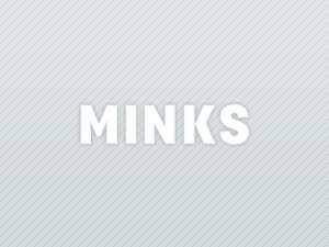 minks-best-wordpress-template-fp2pg-o.jpg