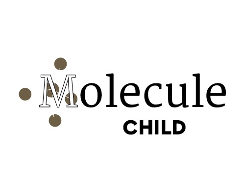 molecule-child-theme-best-wordpress-theme-t861-o.jpg
