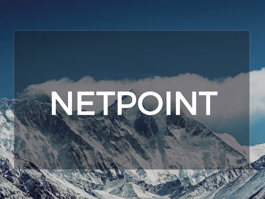 netpoint-template-wordpress-fxxbi-o.jpg