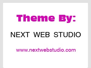 next-web-studio-wordpress-theme-image-hs1d-o.jpg