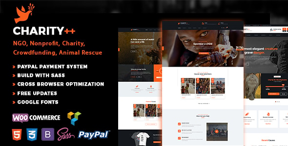 Nonprofit Charity WordPress Theme