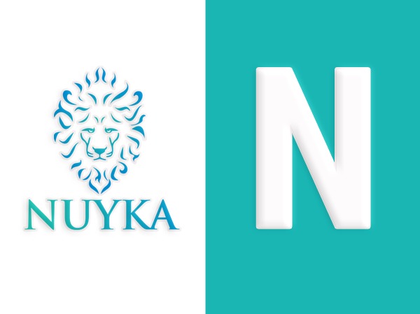 nuyka-top-wordpress-theme-cc9ko-o.jpg
