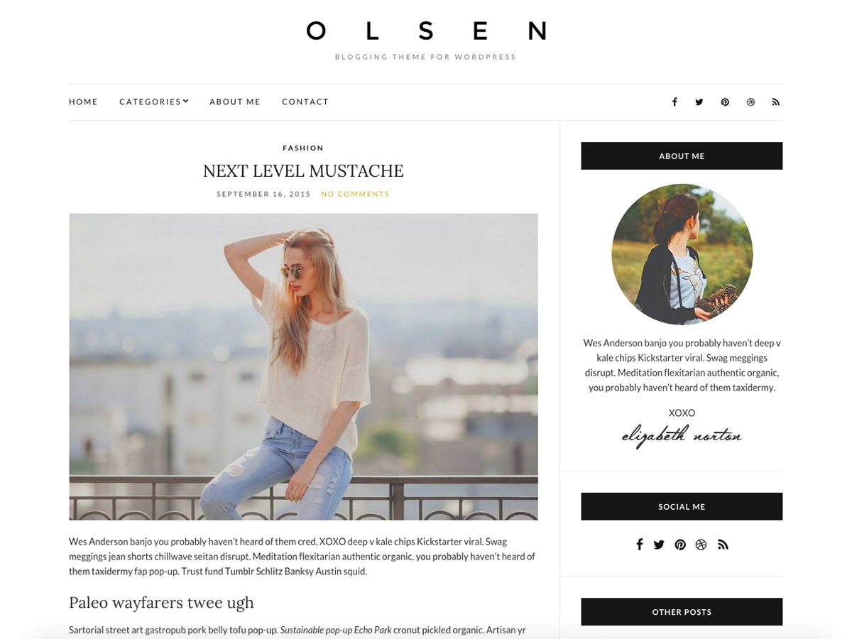 olsen-light-wordpress-free-download-gqr-o.jpg