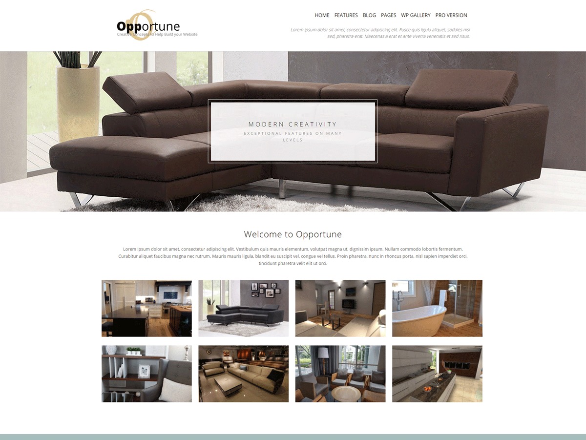 opportune-wordpress-gallery-theme-cqim-o.jpg