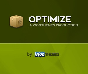 optimize-best-free-wordpress-theme-itb-o.jpg