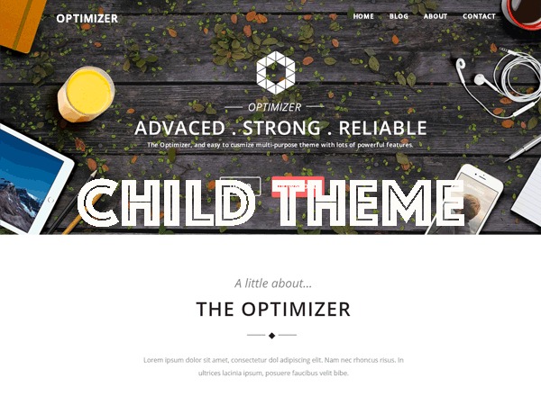 optimizer-child-wordpress-gallery-theme-f9ws-o.jpg