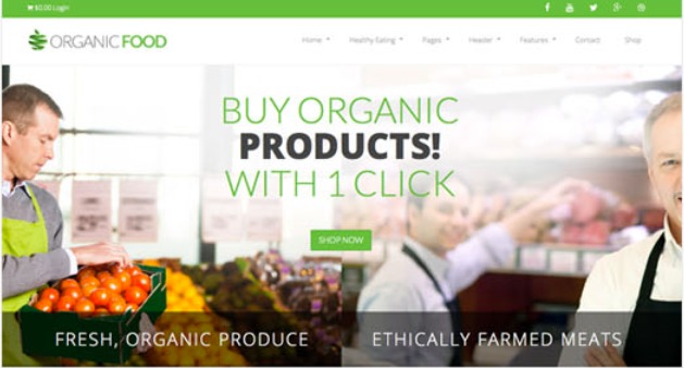 organicfood-wordpress-news-template-h5r9-o.jpg