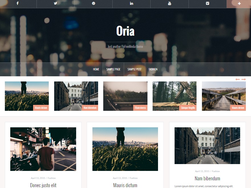 oria-free-wordpress-theme-d1j-o.jpg