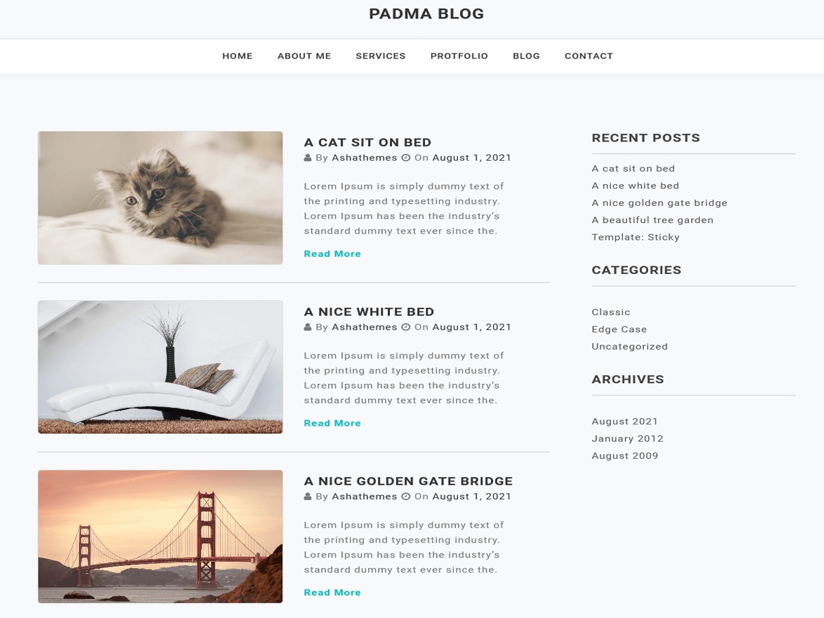 padma-blog-wordpress-blog-theme-ryogr-o.jpg